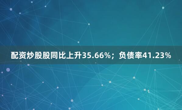 配资炒股股同比上升35.66%；负债率41.23%