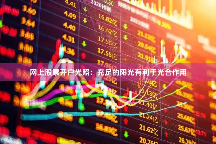 网上股票开户光照：充足的阳光有利于光合作用