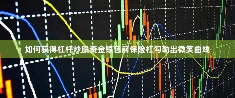 如何获得杠杆炒股资金银色前保险杠勾勒出微笑曲线